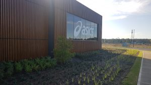 Aluminium perforated sheet by Arrow Metal - Asics Oceania office