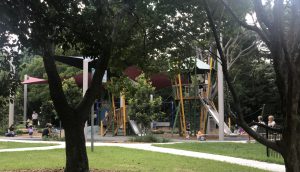Perforated metal roof panels - Rockdale Park Amenities Block